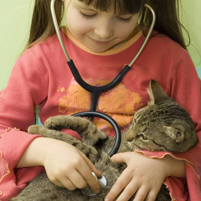 Girl playing Doctor with cat
